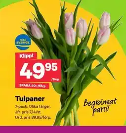 City Gross Tulpaner erbjuda