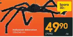Rusta Halloween dekoration erbjuda