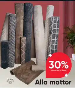 DollarStore Alla mattor erbjuda