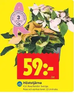 ICA Kvantum ICA Höststjärna erbjuda