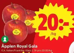 ICA Nära Äpplen Royal Gala erbjuda