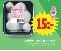 ICA Maxi ICA champinjoner i ask erbjuda