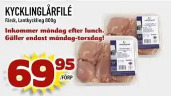 Kycklinglårfile