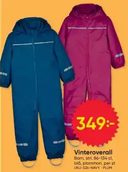 DollarStore Vinteroverall erbjuda