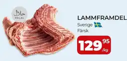 Matrix Butikerna Lammframdel erbjuda