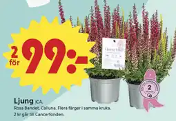 ICA Nära Ljung ICA erbjuda