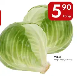 Snabbgross Vitkål erbjuda