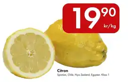 Snabbgross Citron erbjuda