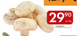 Snabbgross Champinjoner erbjuda