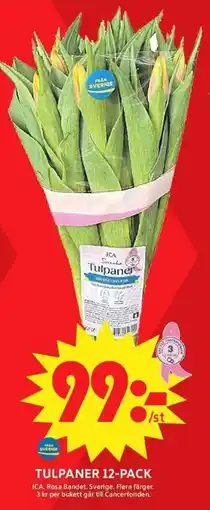 ICA Maxi ICA Tulpaner erbjuda