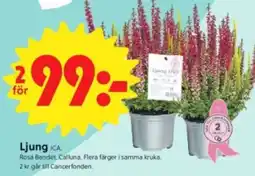 ICA Nära Ljung ICA erbjuda