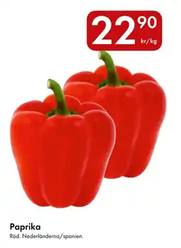 Snabbgross Paprika erbjuda