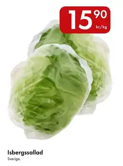 Snabbgross Isbergssallad erbjuda