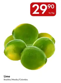 Snabbgross Lime erbjuda