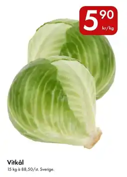 Snabbgross Vitkål erbjuda