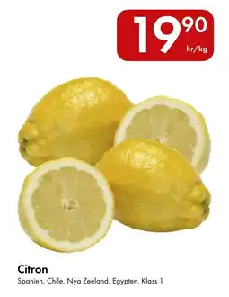 Snabbgross Citron erbjuda