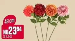 ÖoB Blommor erbjuda