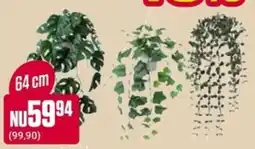 ÖoB Hängande växter erbjuda