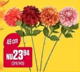 ÖoB Blommor erbjuda