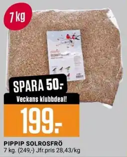 ÖoB Pippip solrosfrö erbjuda