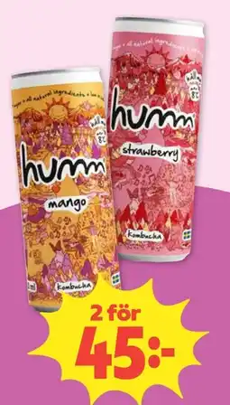 Coop humm kombucha erbjuda