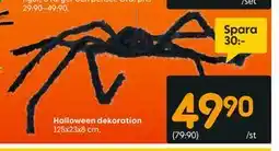 Rusta Halloween dekoration erbjuda