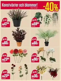 ÖoB Konstväxter och blommor! erbjuda
