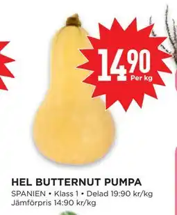 Willys Hemma HEL BUTTERNUT PUMPA erbjuda