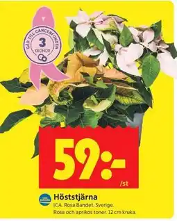 ICA Kvantum Höststjärna erbjuda