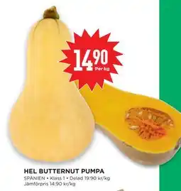 Willys HEL BUTTERNUT PUMPA erbjuda