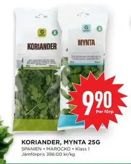 Willys KORIANDER, MYNTA 25G erbjuda