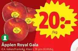 ICA Nära Äpplen Royal Gala erbjuda
