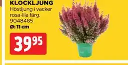 Jem&Fix KLOCKLJUNG erbjuda