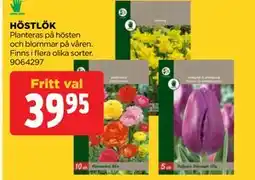 Jem&Fix HÖSTLÖK erbjuda