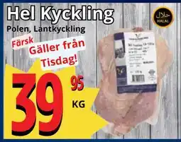 Supergrossen Hel Kyckling erbjuda