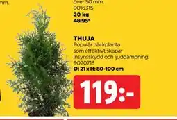 Jem&Fix THUJA erbjuda