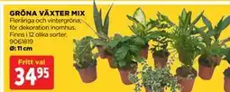 Jem&Fix GRÖNA VÄXTER MIX erbjuda