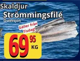 Supergrossen Strömmingsfilé erbjuda
