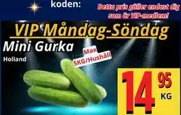 Supergrossen Mini Gurka, Medlemspris erbjuda