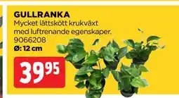 Jem&Fix GULLRANKA erbjuda