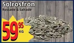 Supergrossen Solrosfrön erbjuda
