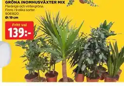 Jem&Fix GRÖNA INOMHUSVÄXTER MIX erbjuda