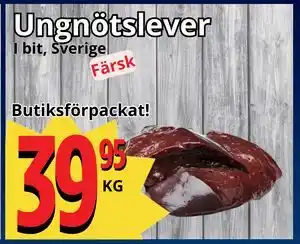 Supergrossen Ungnötslever erbjuda