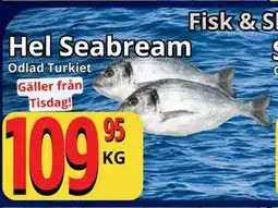 Supergrossen Hel Seabream erbjuda