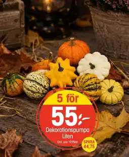 EKO Dekorationspumpa Liten erbjuda