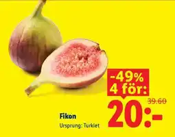 Lidl Fikon erbjuda