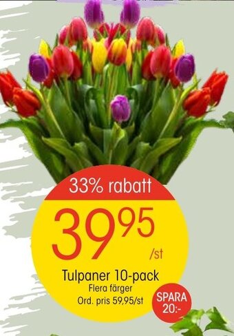 EKO Tulpaner 10-pack erbjuda