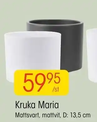 EKO Kruka Maria D: 13,5 cm erbjuda