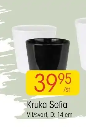 Kruka Sofia D: 14 cm