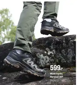 Engelsons Walking sko Harstad WP erbjuda